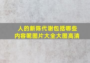 人的新陈代谢包括哪些内容呢图片大全大图高清