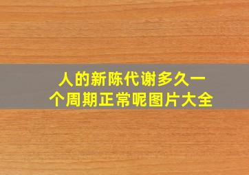 人的新陈代谢多久一个周期正常呢图片大全