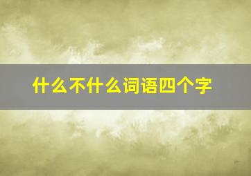 什么不什么词语四个字