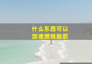 什么东西可以加速燃烧脂肪