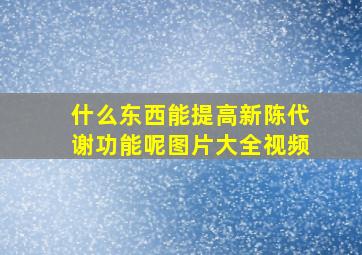 什么东西能提高新陈代谢功能呢图片大全视频