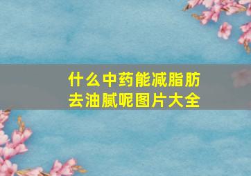 什么中药能减脂肪去油腻呢图片大全