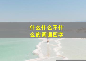 什么什么不什么的词语四字