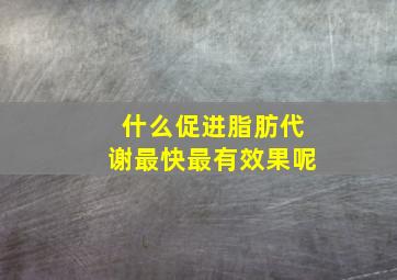 什么促进脂肪代谢最快最有效果呢