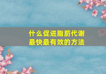 什么促进脂肪代谢最快最有效的方法