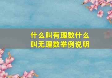 什么叫有理数什么叫无理数举例说明