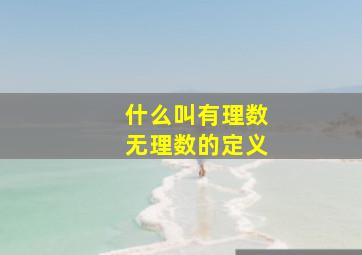 什么叫有理数无理数的定义