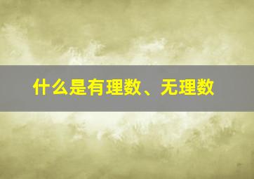 什么是有理数、无理数