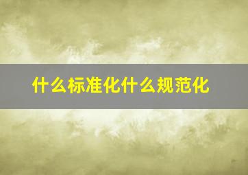 什么标准化什么规范化