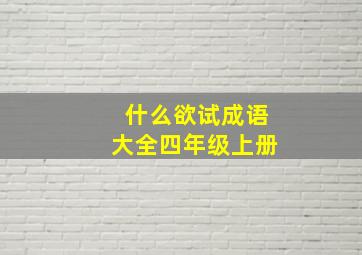 什么欲试成语大全四年级上册