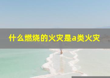 什么燃烧的火灾是a类火灾