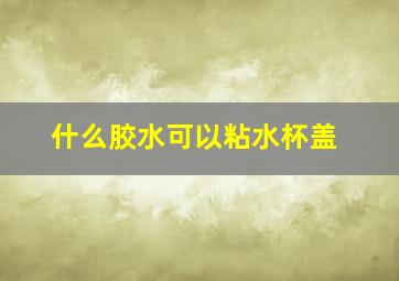 什么胶水可以粘水杯盖