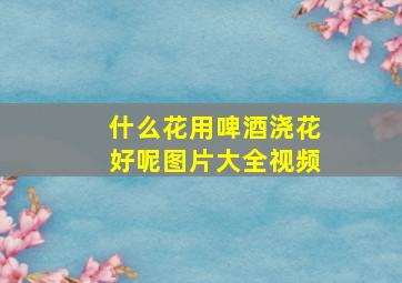 什么花用啤酒浇花好呢图片大全视频