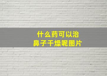 什么药可以治鼻子干燥呢图片