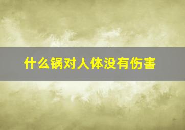 什么锅对人体没有伤害