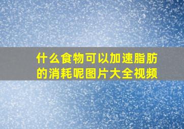 什么食物可以加速脂肪的消耗呢图片大全视频