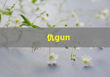 仇gun