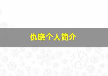 仇晓个人简介