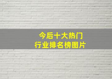 今后十大热门行业排名榜图片