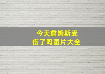 今天詹姆斯受伤了吗图片大全