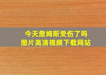 今天詹姆斯受伤了吗图片高清视频下载网站