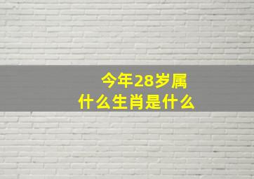 今年28岁属什么生肖是什么