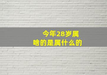 今年28岁属啥的是属什么的