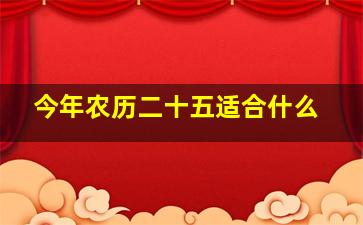 今年农历二十五适合什么