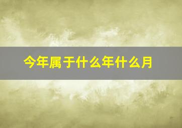 今年属于什么年什么月