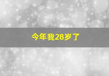 今年我28岁了