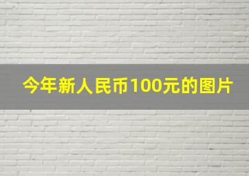 今年新人民币100元的图片