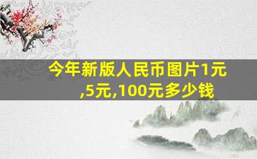 今年新版人民币图片1元,5元,100元多少钱