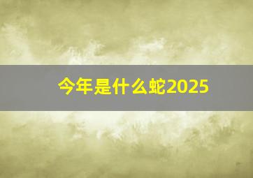 今年是什么蛇2025