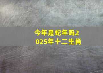 今年是蛇年吗2025年十二生肖