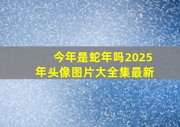 今年是蛇年吗2025年头像图片大全集最新