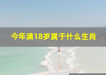 今年满18岁属于什么生肖