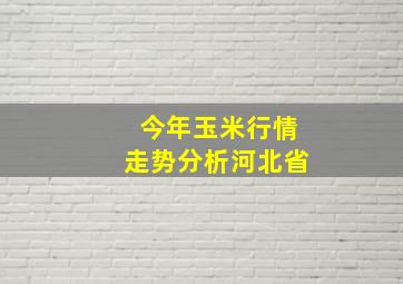 今年玉米行情走势分析河北省