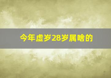 今年虚岁28岁属啥的