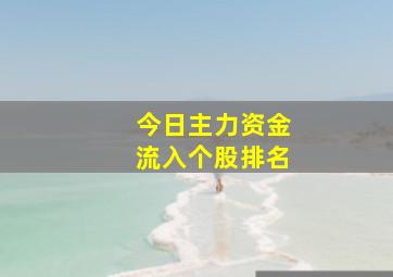 今日主力资金流入个股排名