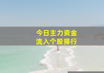 今日主力资金流入个股排行