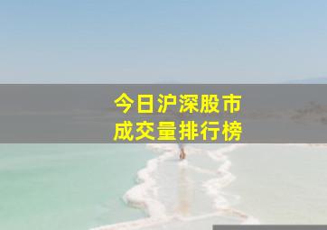 今日沪深股市成交量排行榜