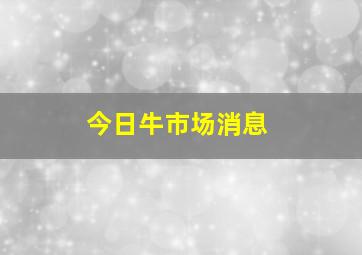 今日牛市场消息