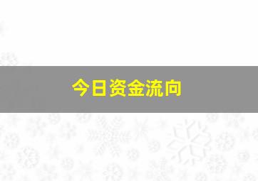 今日资金流向