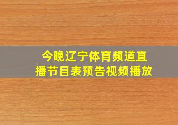 今晚辽宁体育频道直播节目表预告视频播放