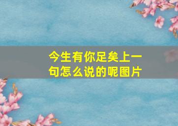 今生有你足矣上一句怎么说的呢图片