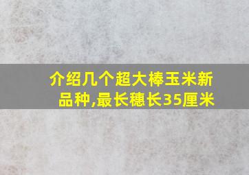 介绍几个超大棒玉米新品种,最长穗长35厘米