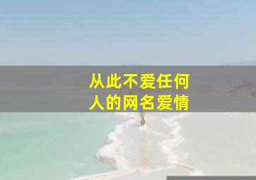 从此不爱任何人的网名爱情