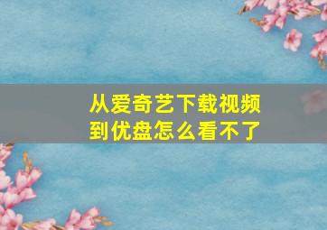 从爱奇艺下载视频到优盘怎么看不了