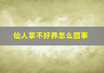 仙人掌不好养怎么回事