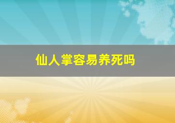 仙人掌容易养死吗